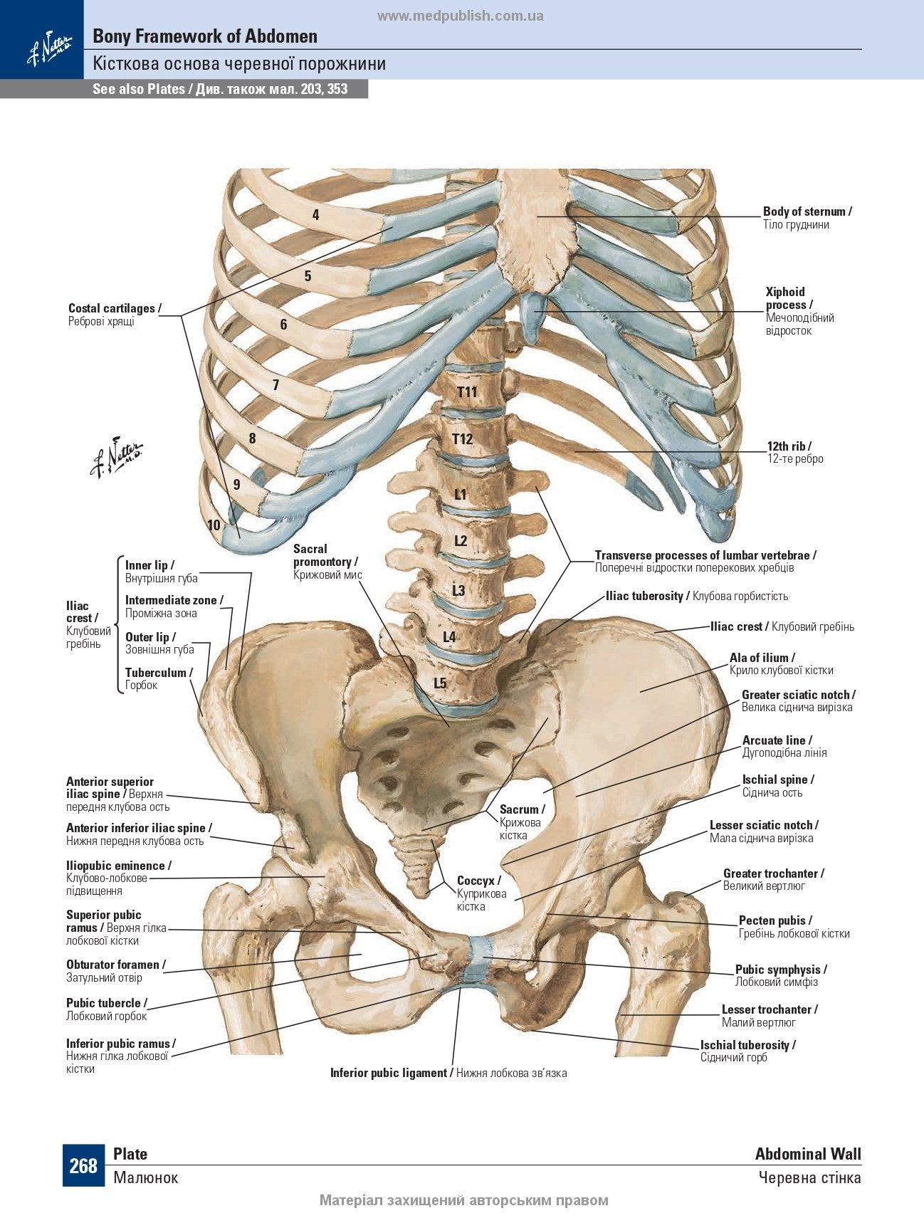 Netter's Atlas of Human Anatomy: A Regional Approach: 8th Edition / Frank H. Netter (two languages)