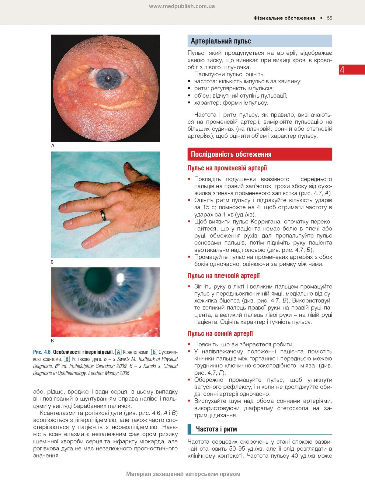 Macleod's Clinical Examination: 15th Edition / Anne R. Douglall, J. Alastair Innes, Karen Fairhurst