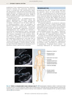 Macleod's Clinical Examination: 15th Edition / Anne R. Douglall, J. Alastair Innes, Karen Fairhurst