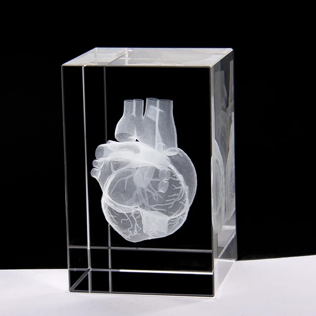 Glass Heart Model 3D