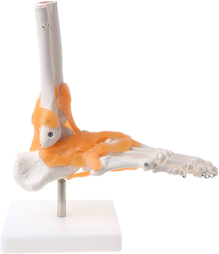 Foot mold