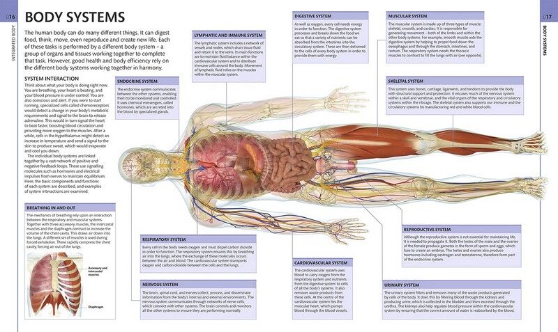 HUMAN ANATOMY | ALICE ROBERTS