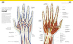 The Complete Human Body. The Definitive Visual Guide / Alice Roberts