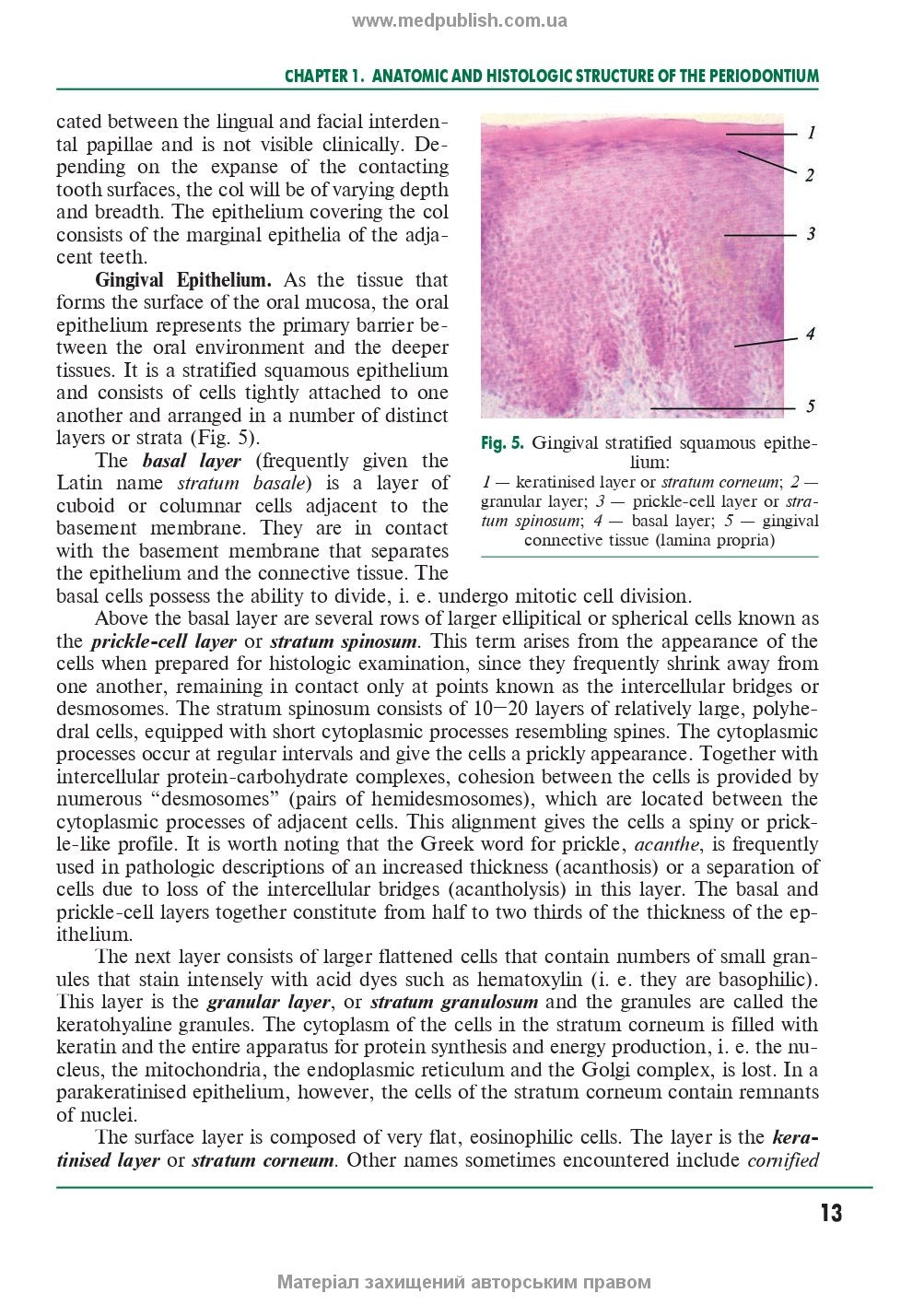 Periodontal and oral mucosa diseases - P2 / A.V.Borysenko
