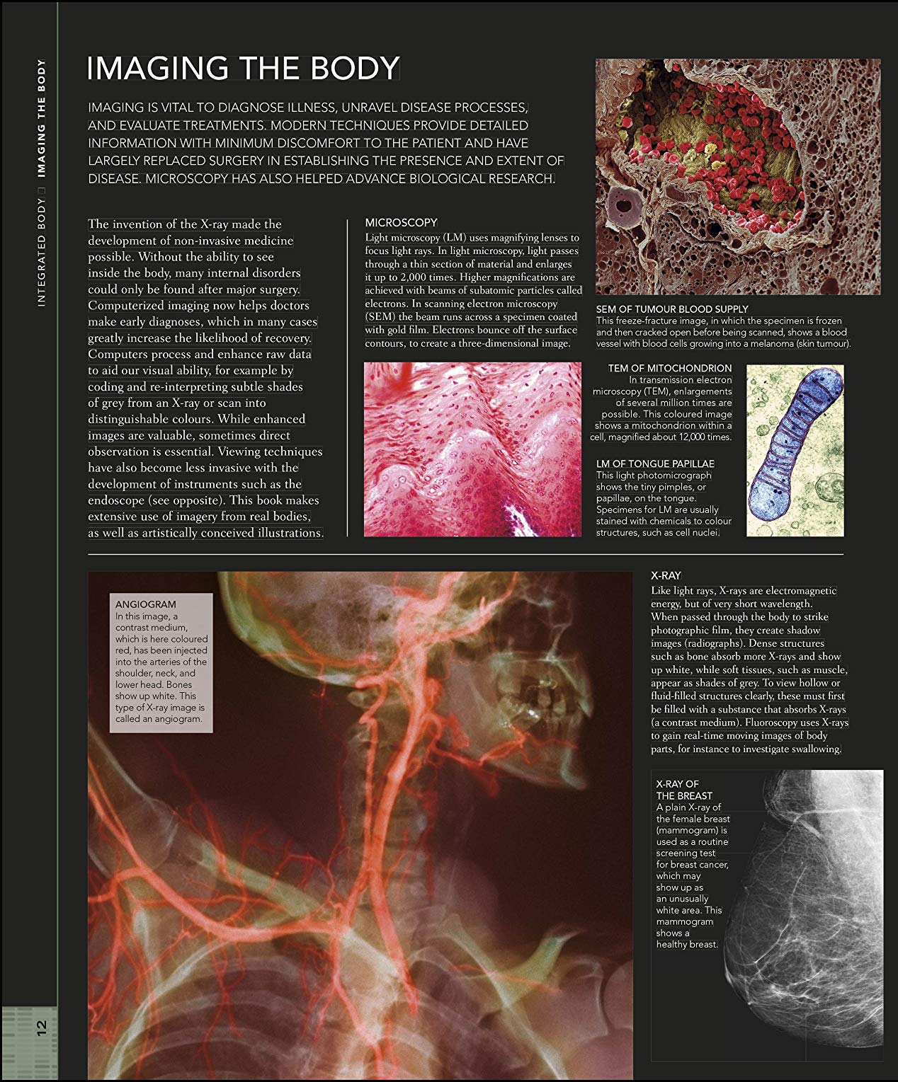 The Human Body Book / Steve Parker