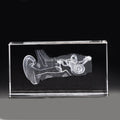 Glass 3D ear model