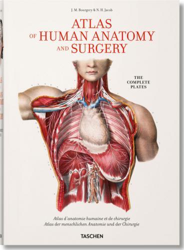 Atlas of Human Anatomy and Surgery enlarged
