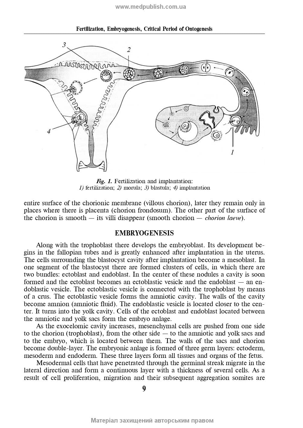 Obstetrics and Gynecology: in 2 volumes. Volume 1. Obstetrics: textbook / V.I. Hryshchenko, M.O. Shcherbina, B.M. Ventskivskyi et al. — 2nd edition