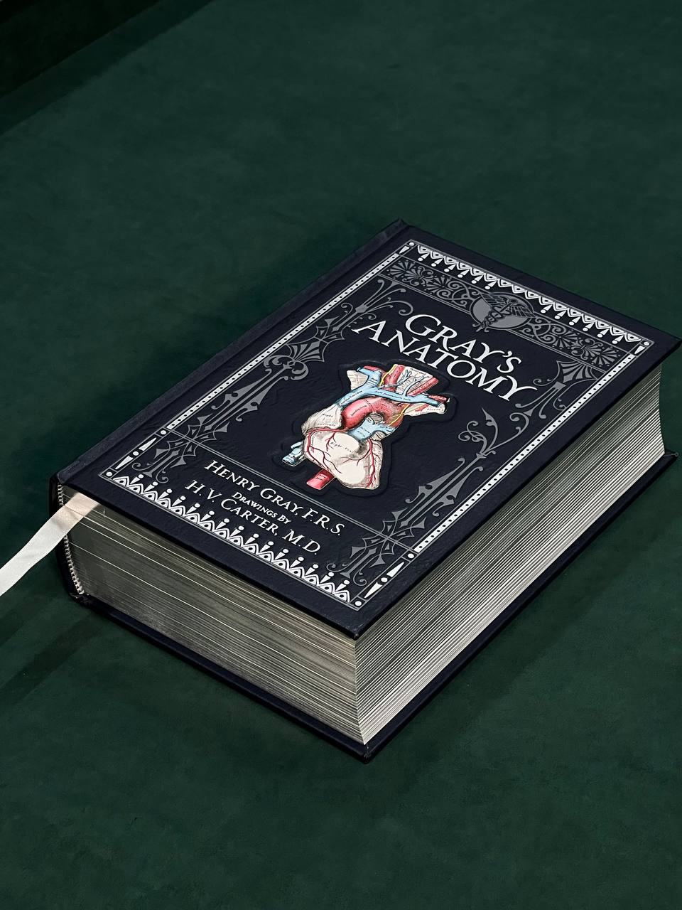 Gray's Anatomy by Henry Gray у колекційному виданні
