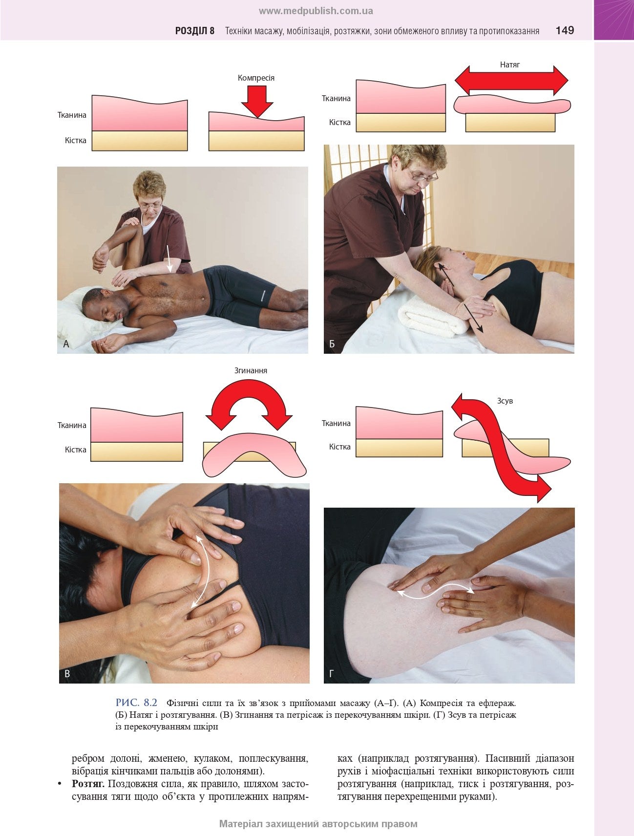 Massage Therapy: Principles and Practice: 7th Edition / Susan G. Salvo