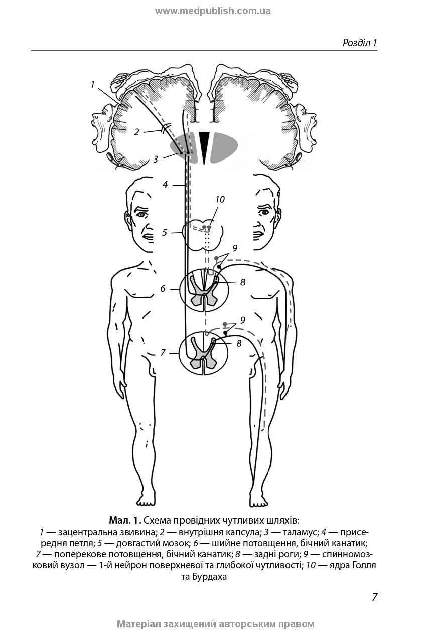 Neurology with Neurostomatology: A Textbook / L.I. Sokolova, T.I. Illiash, O.A. Mialovytska et al.
