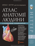Atlas of Human Anatomy with Latin Terminology: 7th Edition / Frank H. Netter