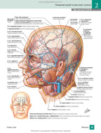 Atlas of Human Anatomy with Latin Terminology: 7th Edition / Frank H. Netter