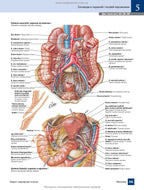 Atlas of Human Anatomy with Latin Terminology: 7th Edition / Frank H. Netter
