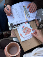 Netter's Atlases