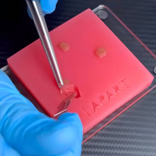 Surgical simulator Tumor Lapart - removal of skin neoplasms