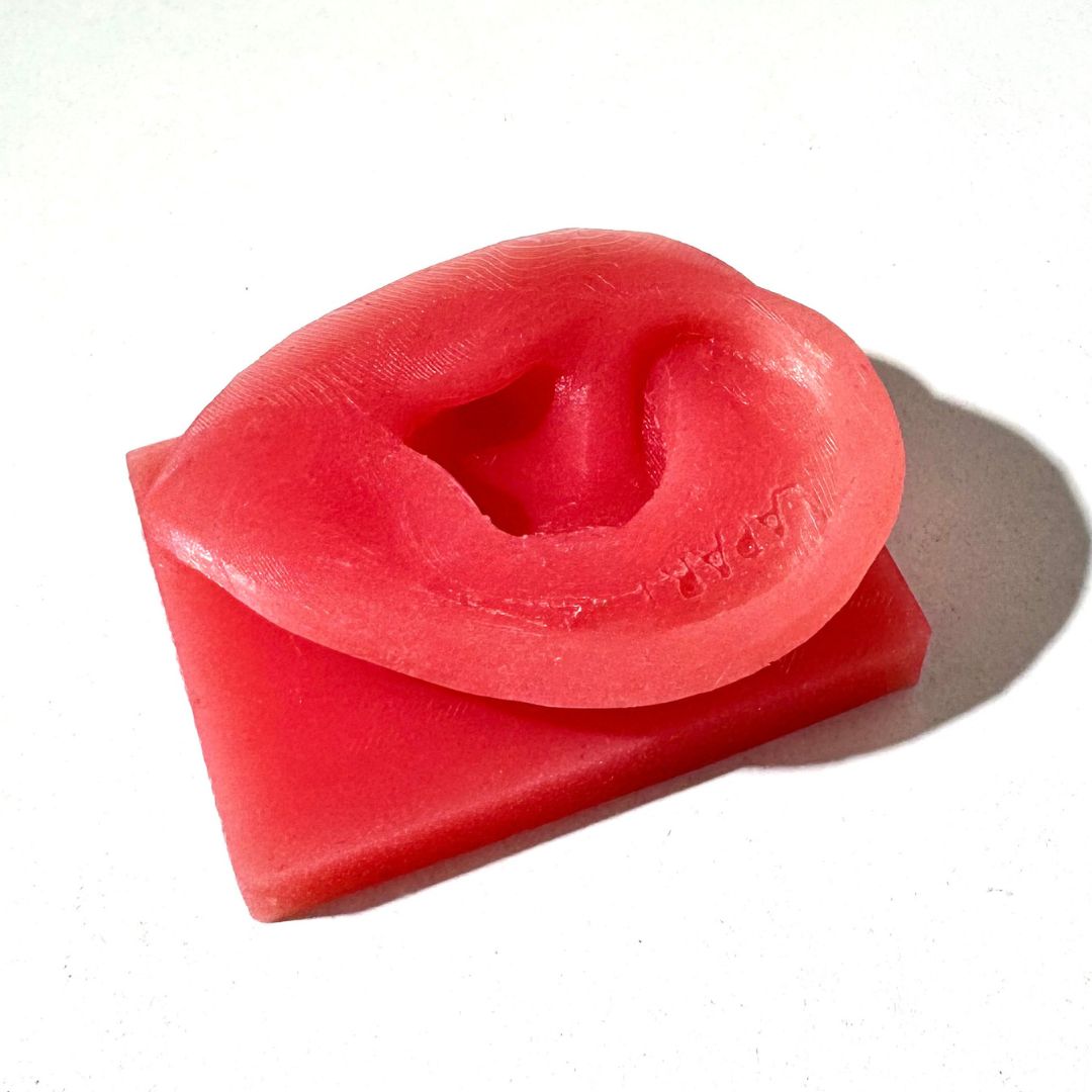 Lapart ear mold