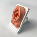 Lapart Trainer "Episiotomy Model"